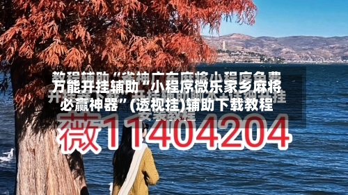 万能开挂辅助“小程序微乐家乡麻将必赢神器”(透视挂)辅助下载教程-第2张图片