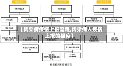 【传染病疫情上报流程,传染病人疫情上报的程序】-第2张图片