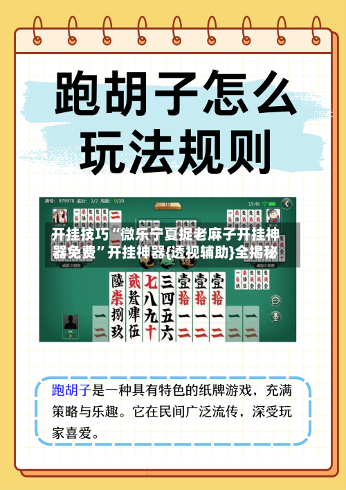 开挂技巧“微乐宁夏捉老麻子开挂神器免费”开挂神器{透视辅助}全揭秘-第2张图片