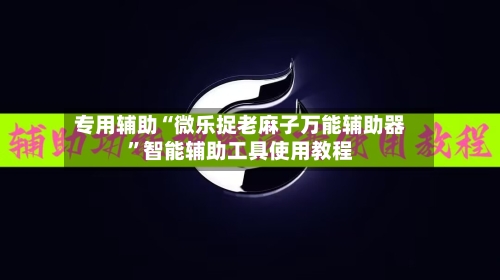 专用辅助“微乐捉老麻子万能辅助器”智能辅助工具使用教程