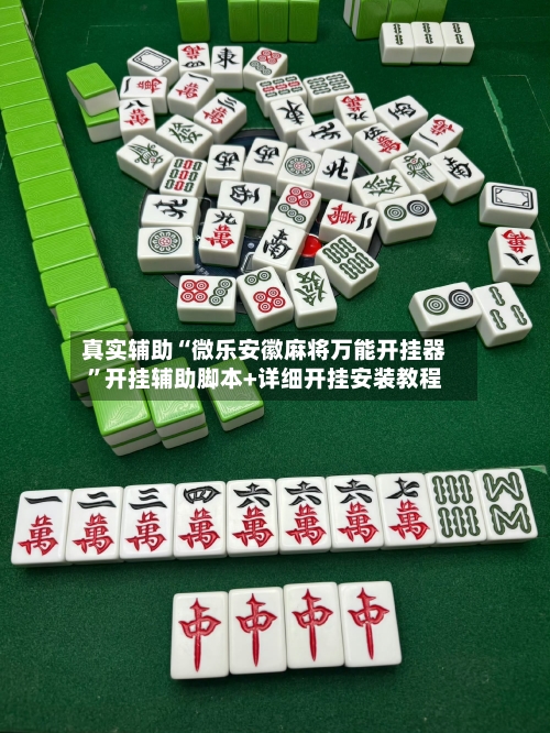 真实辅助“微乐安徽麻将万能开挂器”开挂辅助脚本+详细开挂安装教程-第2张图片
