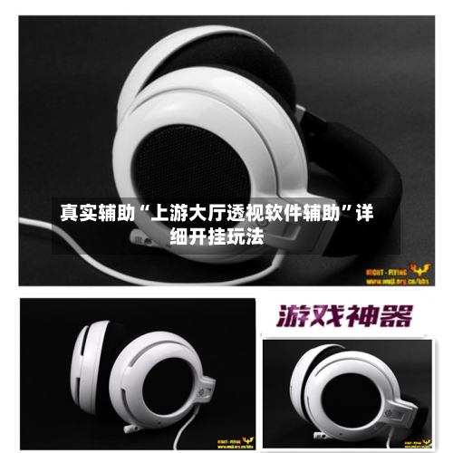 真实辅助“上游大厅透视软件辅助”详细开挂玩法