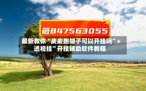 最新教你“皮皮跑胡子可以开挂吗”+透视挂”开挂辅助软件教程-第2张图片