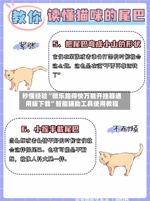 秒懂经验“微乐跑得快万能开挂器通用版下载	”智能辅助工具使用教程-第2张图片