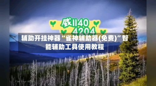 辅助开挂神器“雀神辅助器(免费)	”智能辅助工具使用教程-第2张图片