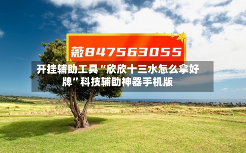 开挂辅助工具“欣欣十三水怎么拿好牌”科技辅助神器手机版-第2张图片