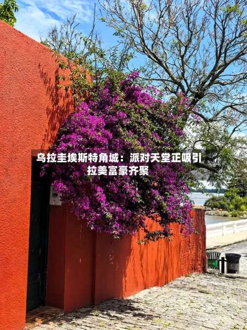 乌拉圭埃斯特角城：派对天堂正吸引拉美富豪齐聚