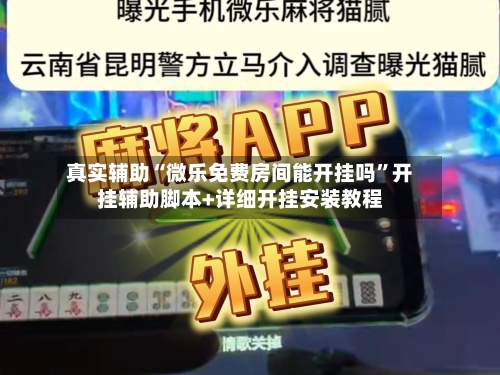 真实辅助“微乐免费房间能开挂吗”开挂辅助脚本+详细开挂安装教程-第2张图片