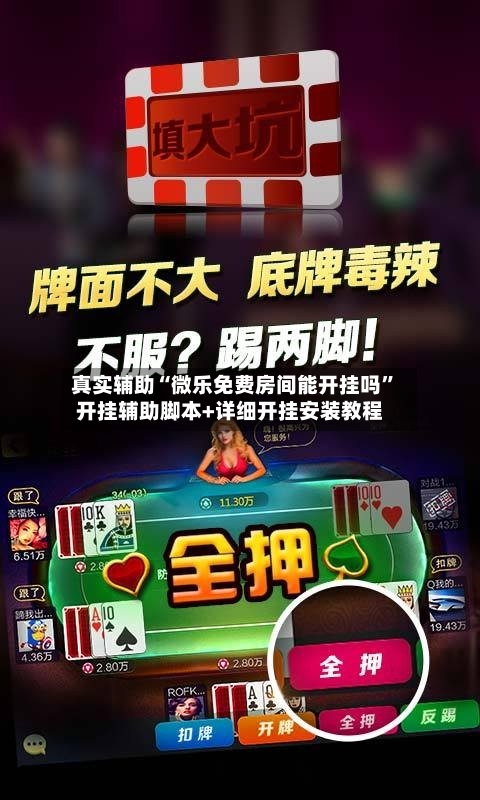 真实辅助“微乐免费房间能开挂吗”开挂辅助脚本+详细开挂安装教程-第3张图片