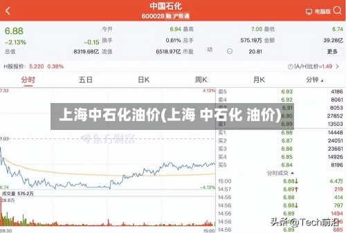 上海中石化油价(上海 中石化 油价)-第3张图片