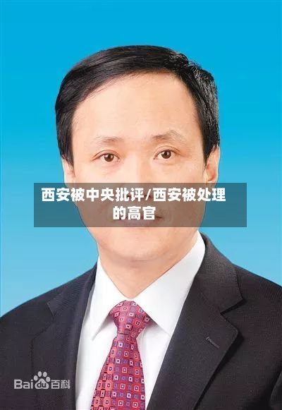 西安被中央批评/西安被处理的高官