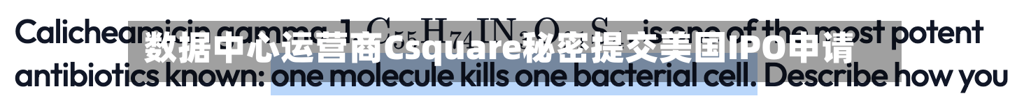 数据中心运营商Csquare秘密提交美国IPO申请-第3张图片