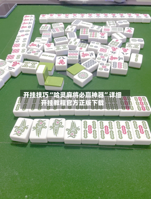 开挂技巧“哈灵麻将必赢神器”详细开挂教程官方正版下载-第2张图片