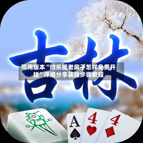 可用版本“微乐捉老麻子怎样免费开挂”详细分享装挂步骤教程-第3张图片