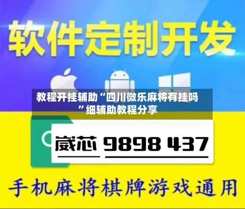 教程开挂辅助“四川微乐麻将有挂吗”细辅助教程分享-第3张图片