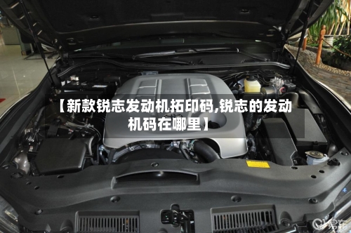【新款锐志发动机拓印码,锐志的发动机码在哪里】-第2张图片