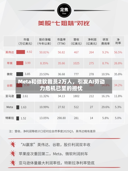Meta和微软裁员2万人，引发AI劳动力危机已至的担忧-第2张图片