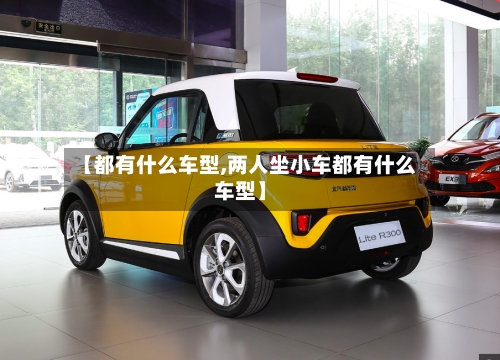 【都有什么车型,两人坐小车都有什么车型】-第2张图片