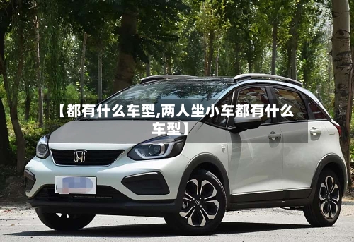 【都有什么车型,两人坐小车都有什么车型】