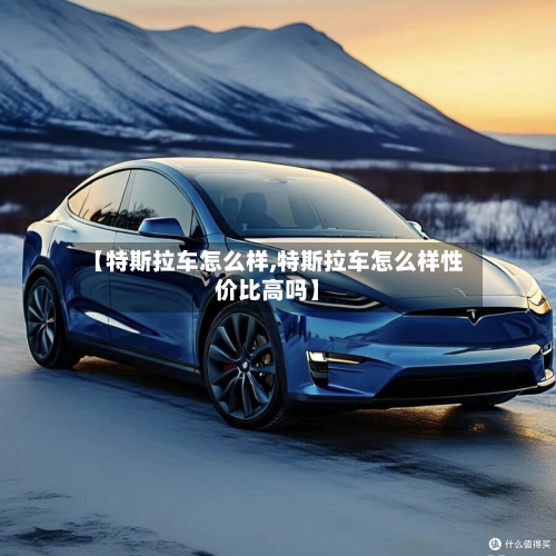【特斯拉车怎么样,特斯拉车怎么样性价比高吗】-第3张图片