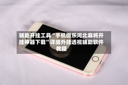 辅助开挂工具“手机微乐河北麻将开挂神器下载	”详细外挂透视辅助软件教程-第2张图片