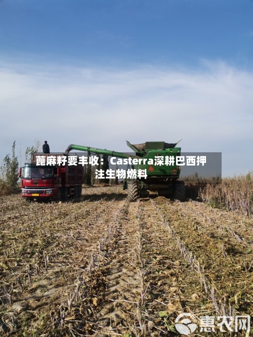 蓖麻籽要丰收：Casterra深耕巴西押注生物燃料-第2张图片