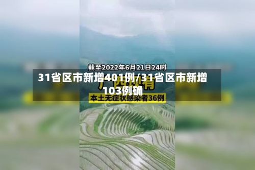 31省区市新增401例/31省区市新增103例确