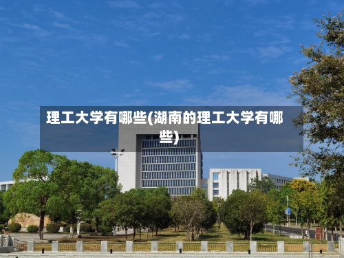 理工大学有哪些(湖南的理工大学有哪些)