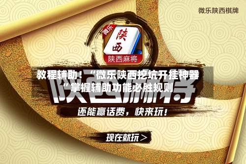 教程辅助！“微乐陕西挖坑开挂神器”掌握辅助功能必胜规则-第3张图片