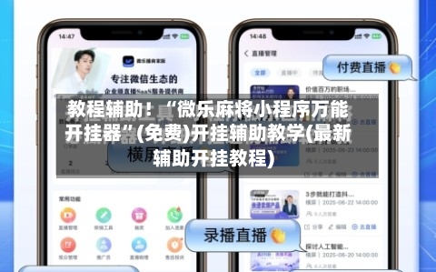 教程辅助！“微乐麻将小程序万能开挂器”(免费)开挂辅助教学(最新辅助开挂教程)