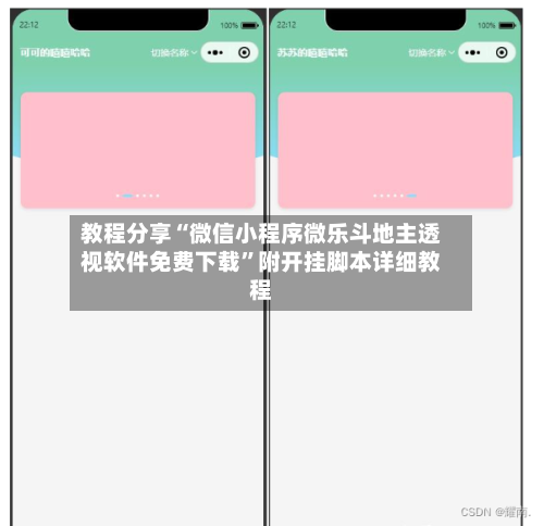 教程分享“微信小程序微乐斗地主透视软件免费下载	”附开挂脚本详细教程-第2张图片