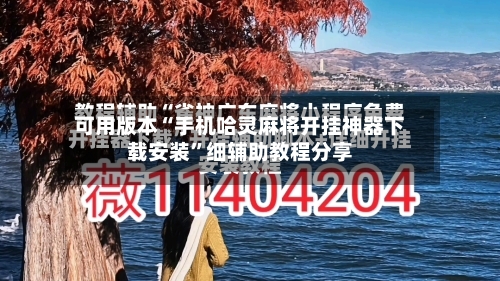 可用版本“手机哈灵麻将开挂神器下载安装”细辅助教程分享-第3张图片