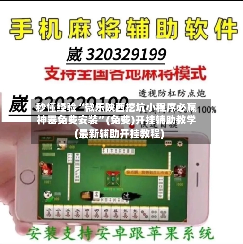 秒懂经验“微乐陕西挖坑小程序必赢神器免费安装”(免费)开挂辅助教学(最新辅助开挂教程)-第2张图片