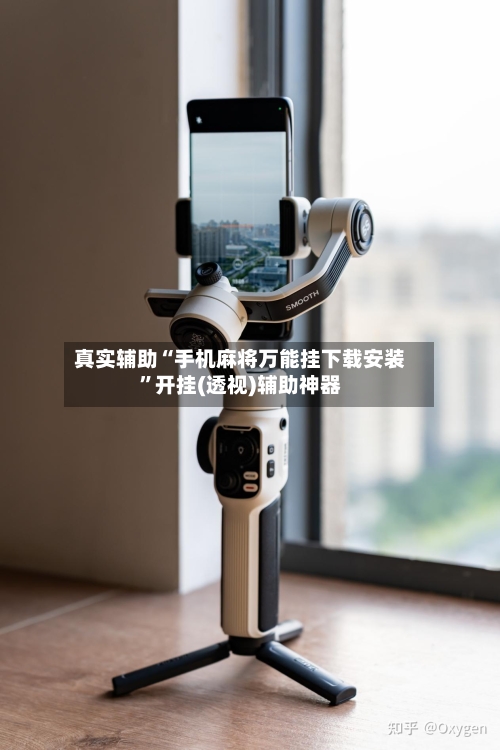 真实辅助“手机麻将万能挂下载安装”开挂(透视)辅助神器-第3张图片