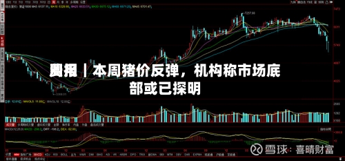 费用周报｜本周猪价反弹，机构称市场底部或已探明-第3张图片