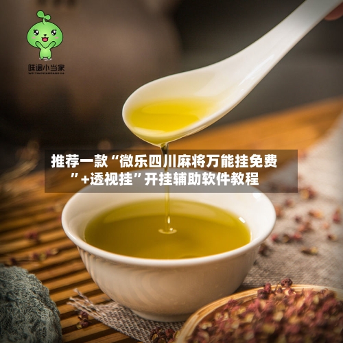 推荐一款“微乐四川麻将万能挂免费”+透视挂	”开挂辅助软件教程-第2张图片