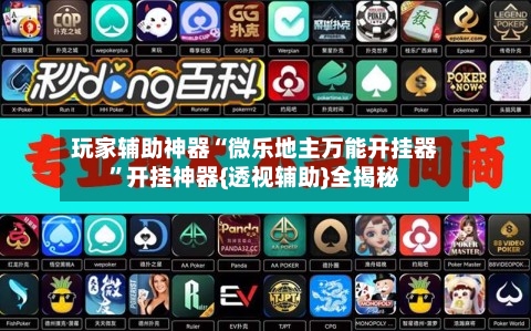 玩家辅助神器“微乐地主万能开挂器”开挂神器{透视辅助}全揭秘