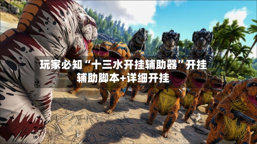 玩家必知“十三水开挂辅助器”开挂辅助脚本+详细开挂-第2张图片