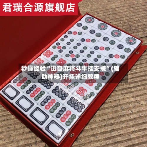 秒懂经验“迅奇麻将斗牛挂安装”(辅助神器)开挂详细教程-第2张图片