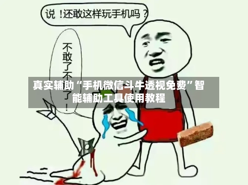真实辅助“手机微信斗牛透视免费”智能辅助工具使用教程-第3张图片