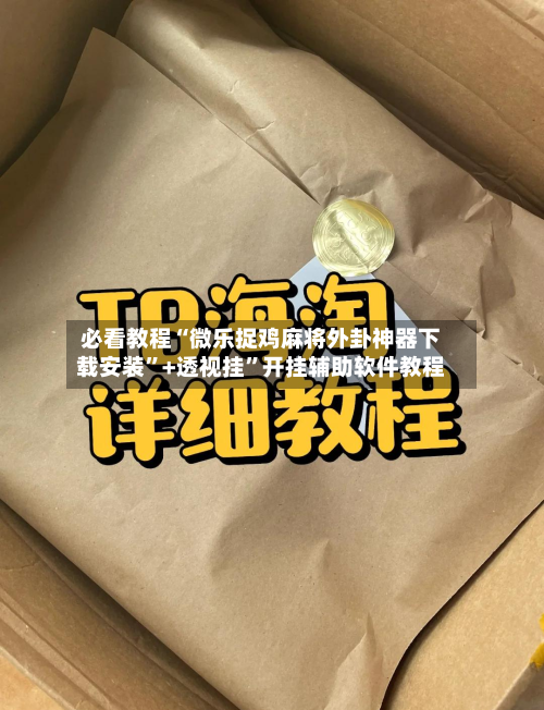 必看教程“微乐捉鸡麻将外卦神器下载安装	”+透视挂”开挂辅助软件教程-第3张图片