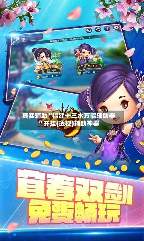 真实辅助“福建十三水万能辅助器”开挂(透视)辅助神器-第2张图片