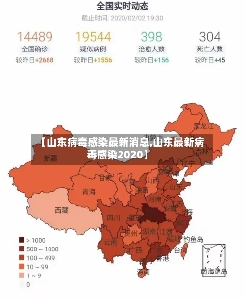 【山东病毒感染最新消息,山东最新病毒感染2020】-第3张图片
