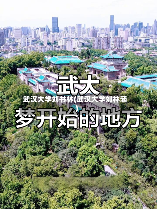 武汉大学刘书林(武汉大学刘林涵)