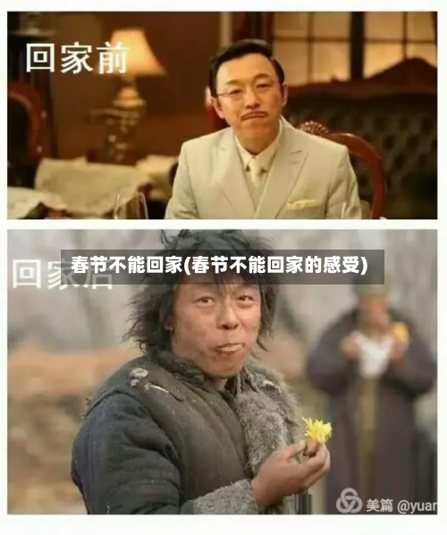 春节不能回家(春节不能回家的感受)