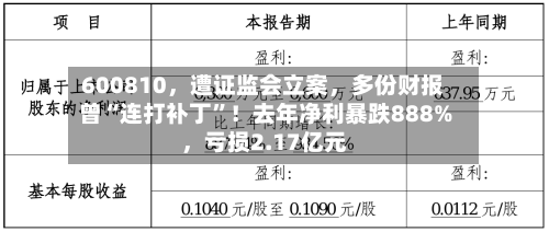 600810	，遭证监会立案，多份财报曾“连打补丁”！去年净利暴跌888%，亏损2.17亿元-第2张图片