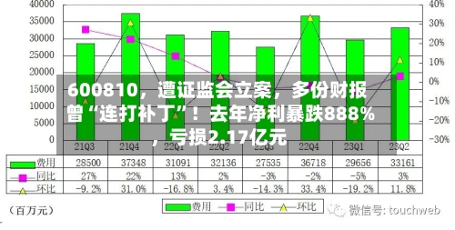 600810，遭证监会立案，多份财报曾“连打补丁”！去年净利暴跌888%	，亏损2.17亿元-第3张图片