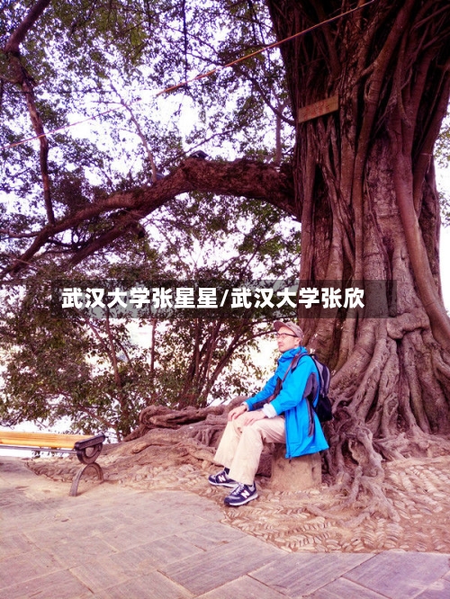 武汉大学张星星/武汉大学张欣