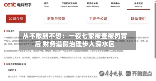 从不敢到不想：一夜七家被查被罚背后 财务造假治理步入深水区-第2张图片
