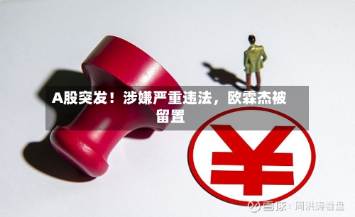 A股突发！涉嫌严重违法，欧霖杰被留置-第2张图片